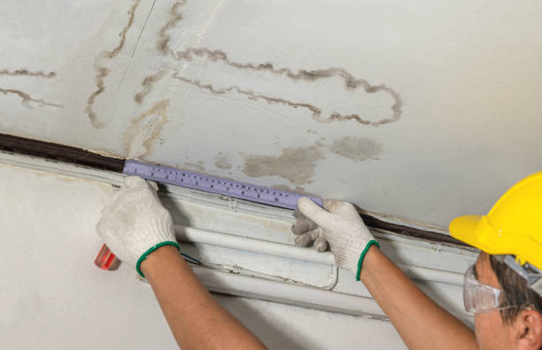 Reliable Water Removal contractor in Fort Belvoir, VA by Water Damage Irwin